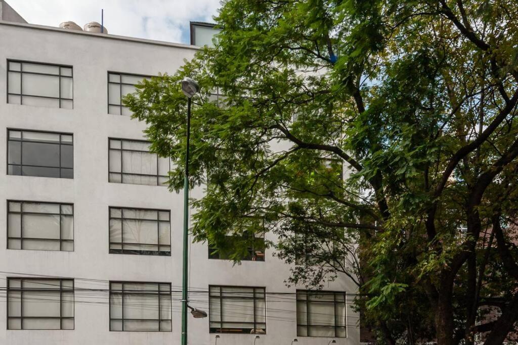 Mexico City Mondomexico Deluxe 2 Bedroom Apartments Exterior photo
